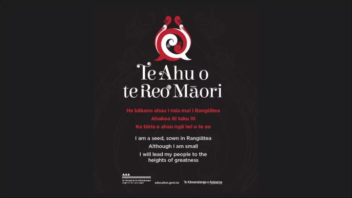 supporting te reo m ori revitalisation efforts and