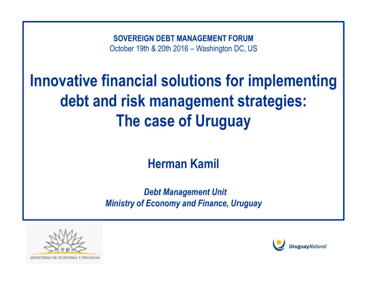 debt and risk management strategies