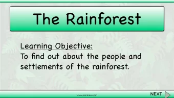 The Rainforest  Learning Objective:  To find out about the people and  settlements of the