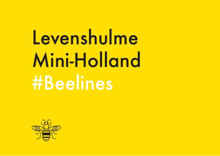levenshulme mini holland beelines agenda