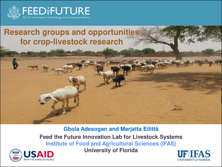research groups and opportunities for crop livestock