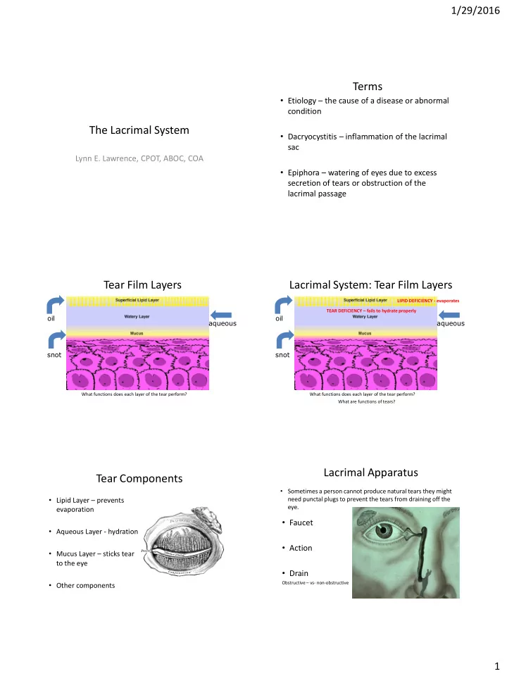 terms