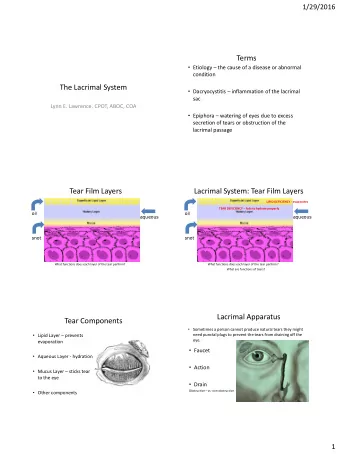 Terms  Etiology  the cause of a disease or abnormal  condition  The Lacrimal System