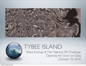 TYBEE ISLAND  Wave Ecology &amp; The Highway 80 Challenge  Opening the Door on Data  October 25,