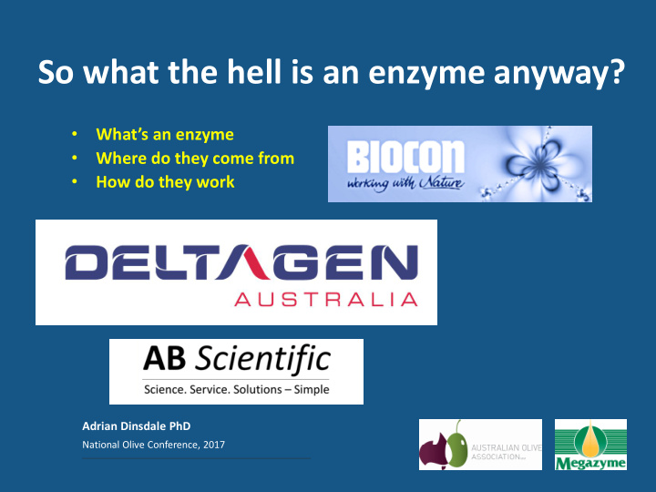 so what the hell is an enzyme anyway