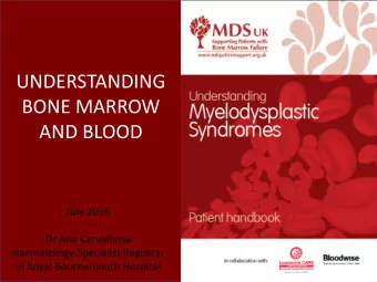 BONE MARROW  AND BLOOD  July 2016  Dr Ana Carvalhosa  Haematology Specialist Registrar  in Royal