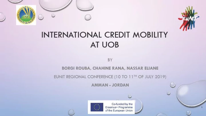 1 university of balamand uob