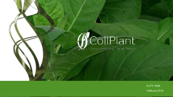 CLPT: TASE  Febbuary 2016  2  Forward looking statements  The following overview contains