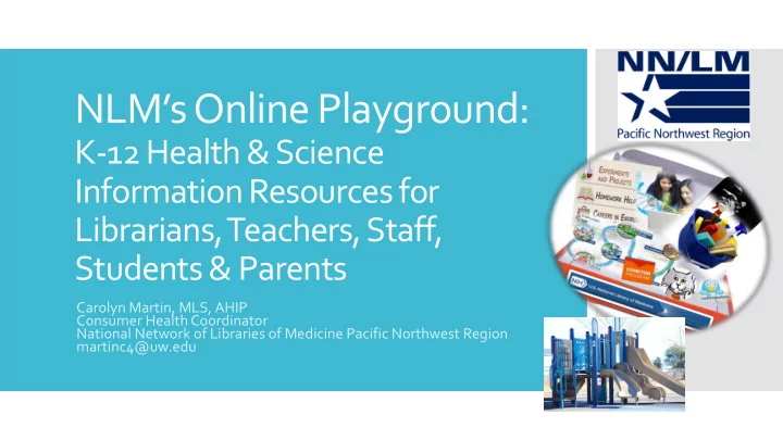 nlm s online playground