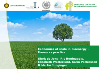 Sierk de Jong, Ric Hoefnagels,  Elisabeth Wetterlund, Karin Pettersson &amp; Martin Junginger