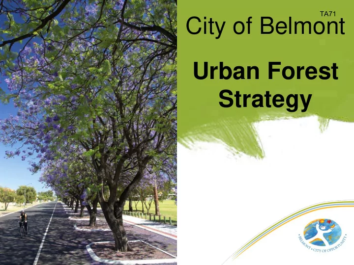 city of belmont