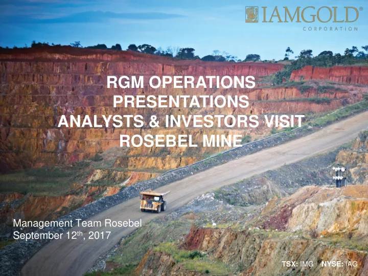 analysts investors visit