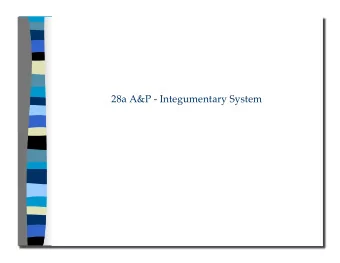 28a A&amp;P - Integumentary System 28a A&amp;P - Integumentary System  Class Outline  5