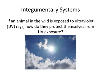 Integumentary Systems  If an animal in the wild is exposed to ultraviolet  (UV) rays, how do they