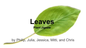 Leaves  Plant Jigsaw  by Philip, Julia, Jessica, Mitti, and Chris  The Function of Leaves  Leaves