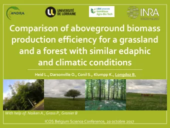 production efficiency for a grassland  and a forest with similar edaphic  and climatic conditions