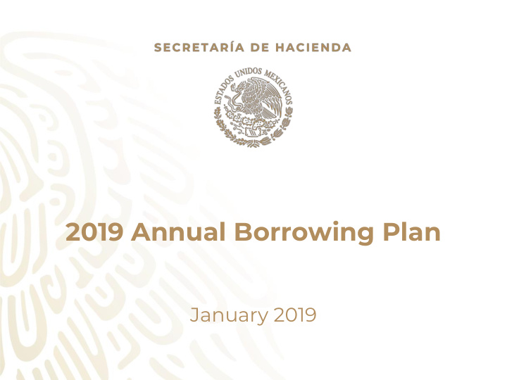 2019 annual borrowing plan