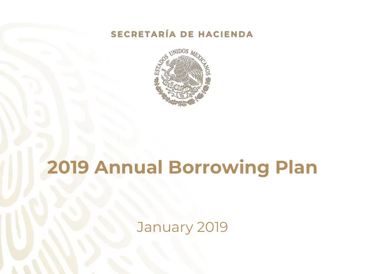 2019 annual borrowing plan