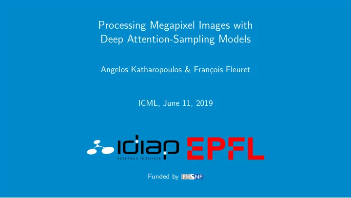 processing megapixel images with deep attention sampling