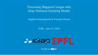 Processing Megapixel Images with  Deep Attention-Sampling Models  Angelos Katharopoulos &amp;