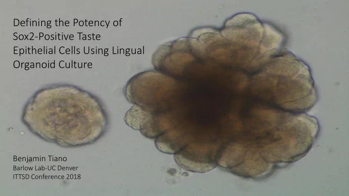 epithelial cells using lingual