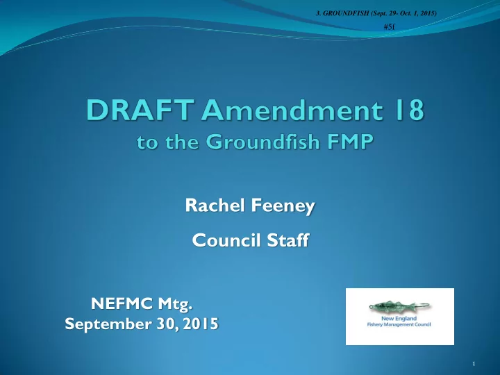rachel feeney council staff