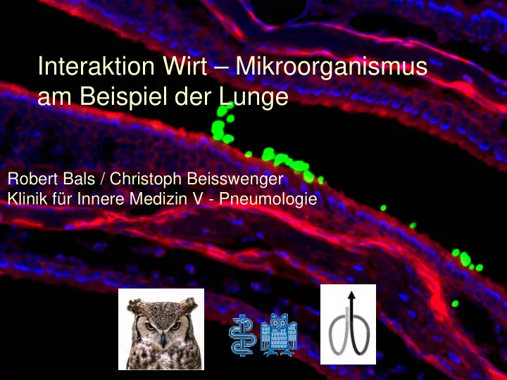 interaktion wirt mikroorganismus am beispiel der lunge