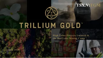 TSX.V:TGM  High Value Projects Located in  the Red Lake Mining Camp  August 2020  DISCLAIMER