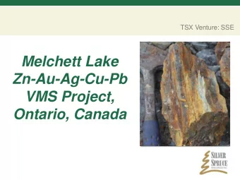 Zn-Au-Ag-Cu-Pb  VMS Project,  Ontario, Canada  Cautionary Statement  TSX Venture: SSE  Investors