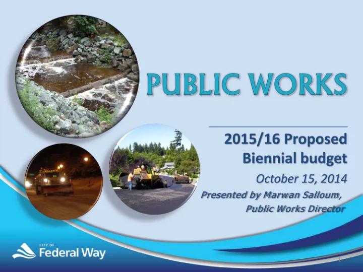 biennial budget