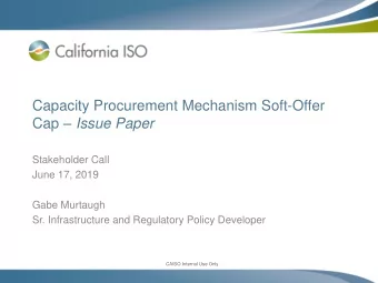 Cap  Issue Paper  Stakeholder Call  June 17, 2019  Gabe Murtaugh  Sr. Infrastructure and