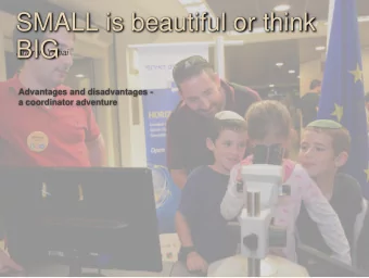 SMALL is beautiful or think  BIG  Sharon Yanai  Advantages and disadvantages -  a coordinator