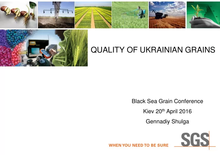 quality of ukrainian grains