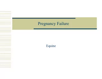 Pregnancy Failure  Equine  The Mare  many nonlesion lesions  no placental reserve
