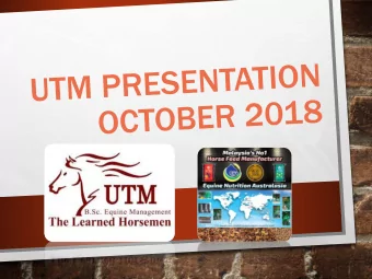 MY HISTORY  BORN IN MELBOURNE IN 1956 I WAS MOUNTED ON THE STABLE HACK  AT 5 DAYS OLD.