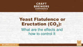 Yeast Flatulence or Eructation (CO 2 ):  What are the effects and  how to control It  Dave Huizen,