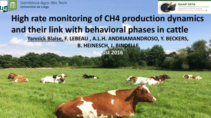 high rate monitoring of ch4 production dynamics
