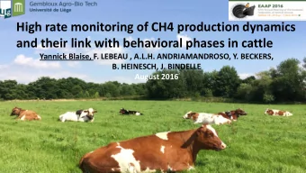 High rate monitoring of CH4 production dynamics  and their link with behavioral phases in cattle