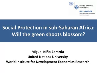 Will the green shoots blossom?  Miguel Nio-Zaraza  United Nations University  World Institute