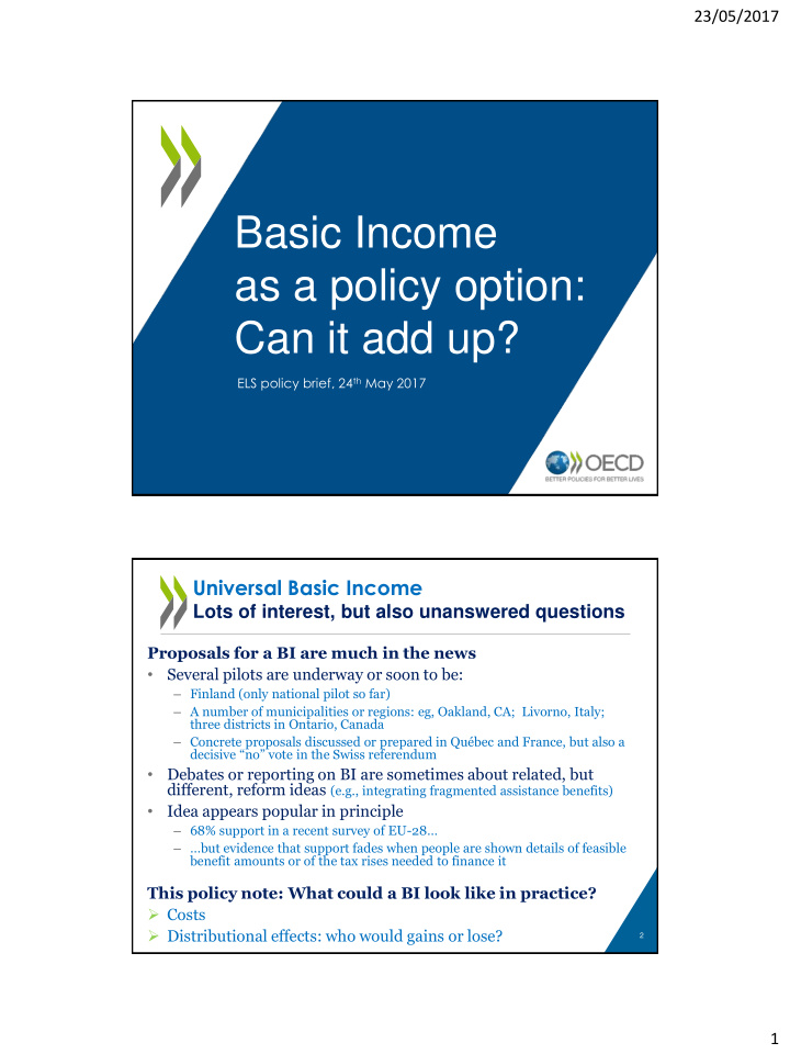 basic income as a policy option can it add up