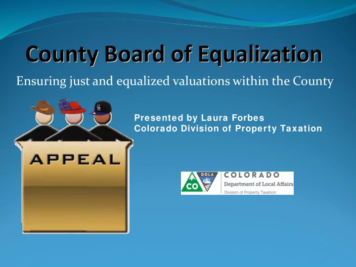 ensuring just and equalized valuations within the county