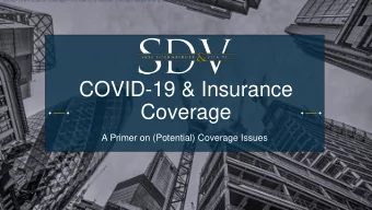 Coverage  A Primer on (Potential) Coverage Issues  1  Overview of Current Situation  Governmental