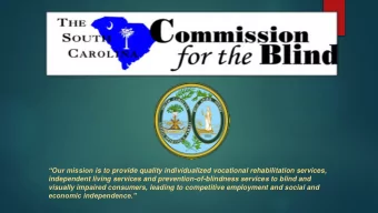 visually impaired consumers, leading to competitive employment and social and  economic