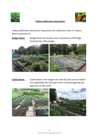 Tutbury Allotment Association represents the 3 allotment sites in Tutbury  which comprises of: -