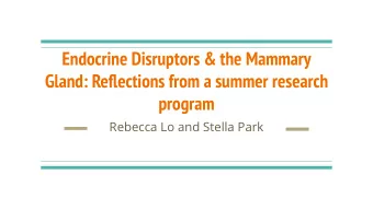 Endocrine Disruptors &amp; the Mammary  Gland: Reflections from a summer research  program  Rebecca