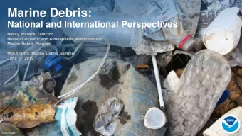 Marine Debris:  National and International Perspectives  Nancy Wallace, Director  National Oceanic