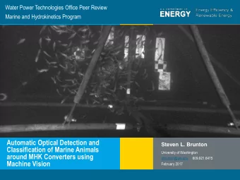 Classification of Marine Animals  University of Washington  around MHK Converters using