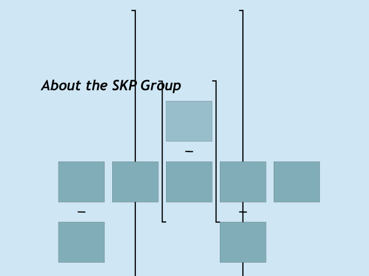 about the skp group about the skp group