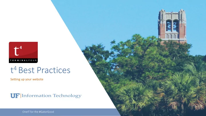 t 4 best practices