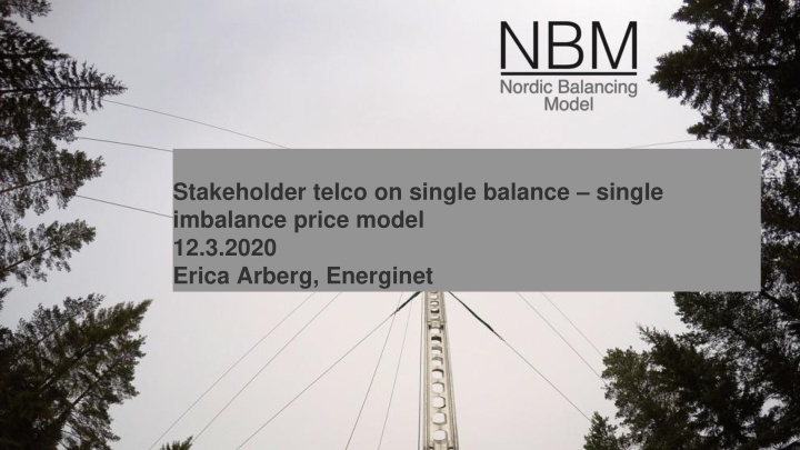 stakeholder telco on single balance single